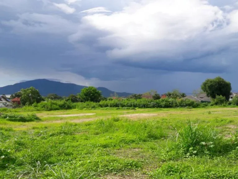 ขายที่ดินติดถนน บ้านสันป่าสัก หนองควาย