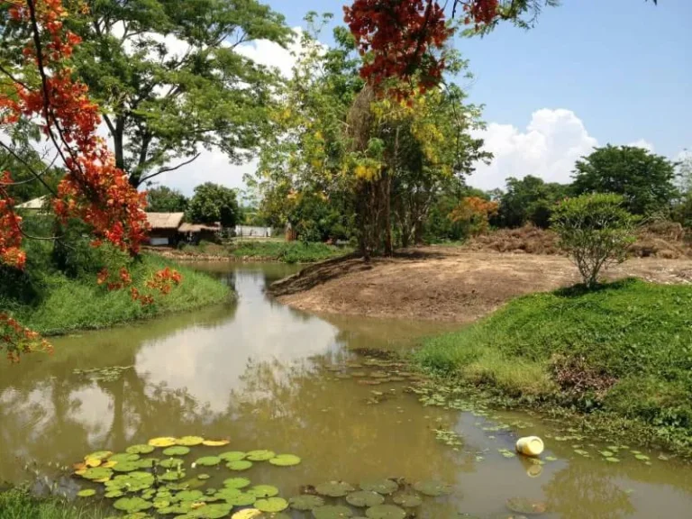 ขายที่ดินในโครงการดอยสะเก็ต วิวสวย ติดคลองน้ำ