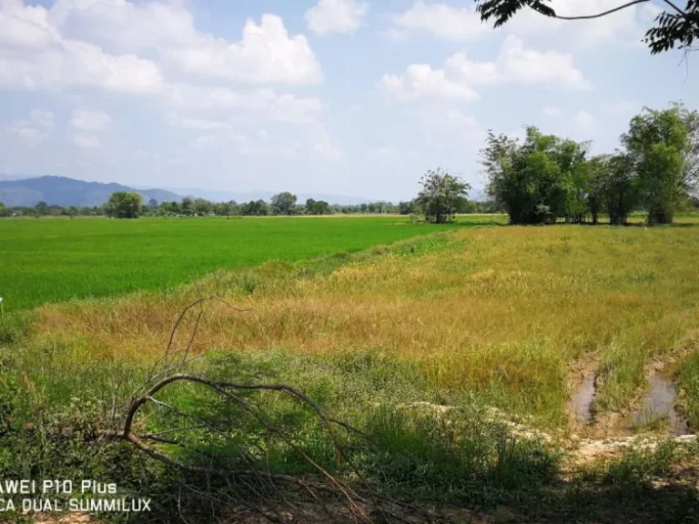 ขายที่ดิน 3 ไร่่ ติดชลประทาน วิวเขาสวยงามมาก