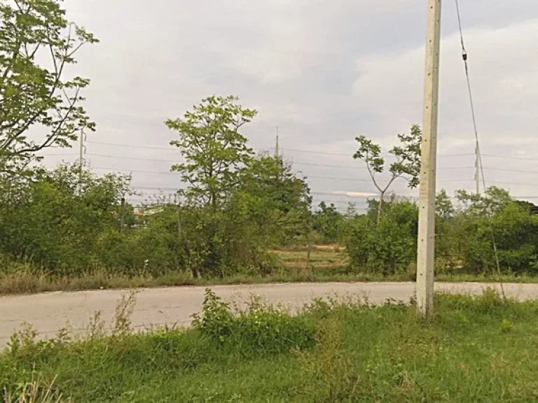 Beautiful land in Lampang for sale