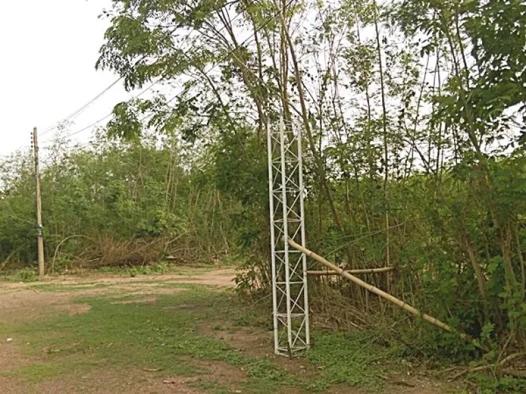 Beautiful land in Lampang for sale