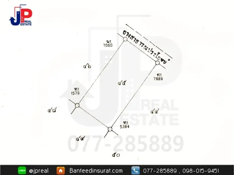 ขาย ที่ดินเปล่า 200วา ราคาถูก ติดถนนสองด้าน ตท่าข้าม อพุนพิน สุราษฎร์ธานี