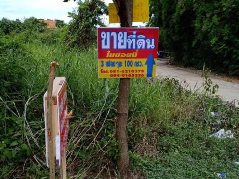 ขายที่ดิน จเพชรบูรณ์ อเมือง ตสะเดียง ใกล้ๆโรงเรียนอนุบาลตริณศิลป์เพชรบูรณ์ อยู่หลังบิ๊กซี 400 เมตร ห่างสหกรณ์ครู 200 เมตร ติดทางสาธารณะ น้ำไฟเข้าถึ