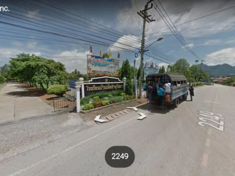 Agricultural Land with teaks for sale at Loei ขายสวนสัก เมืองเลย