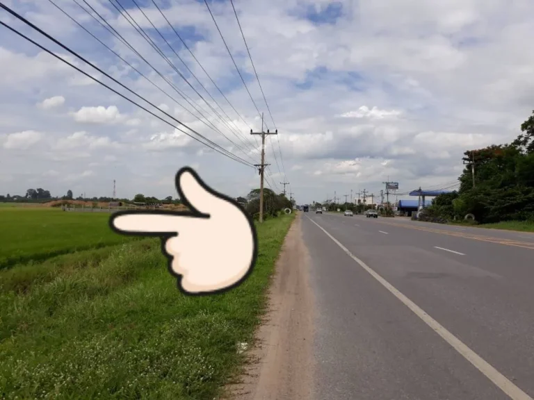 ขายที่ดินแถวแยกไหสี่หูอำเภอบางระจัน