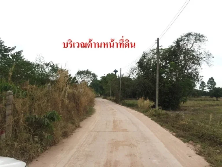 ขายที่ดิน 4-2-76 ไร่ ตพรหมณี อเมือง จนครนายก ใกล้ รรจปร