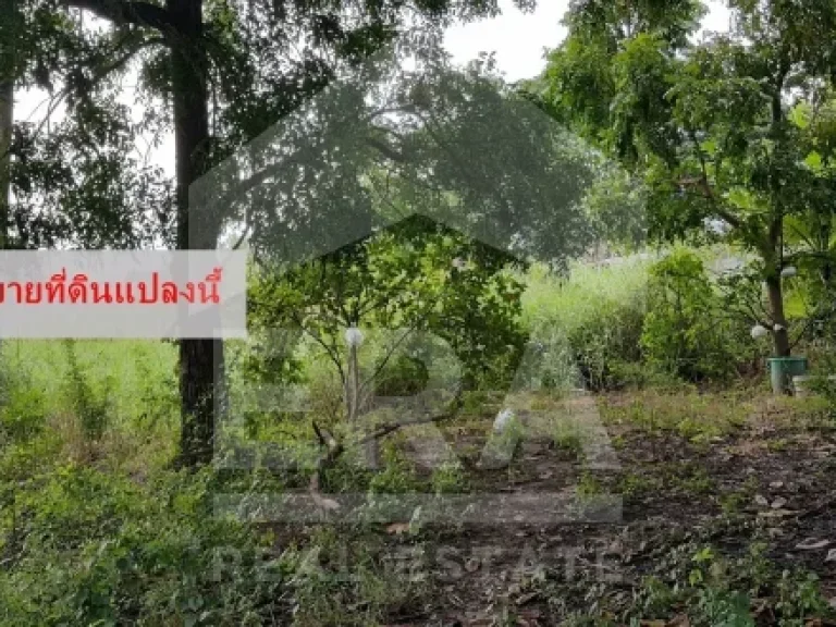 ที่ดินเปล่า เนื้อที่ 70 ตรว หันหน้าทิศตะวันตก ใกล้ MRT