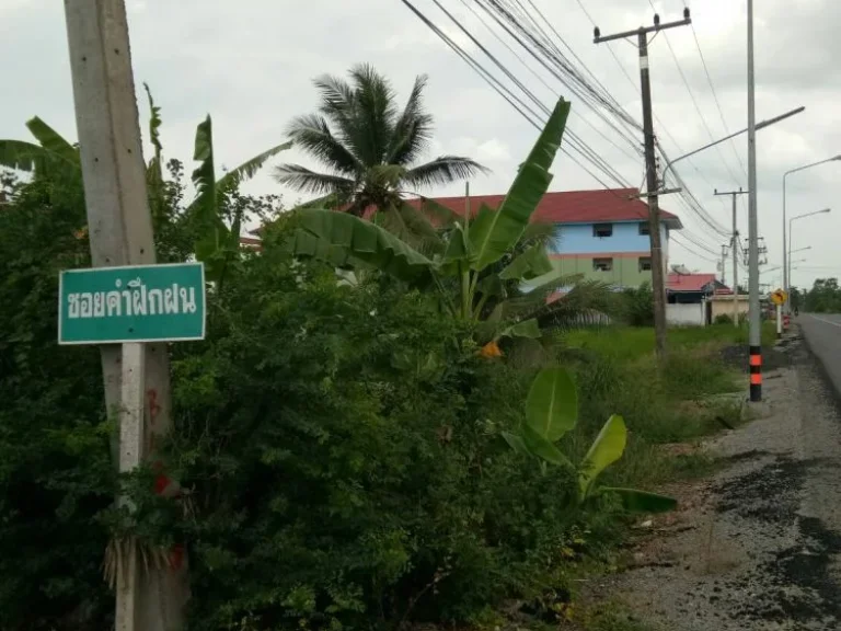 ขาย ที่ดินแปลงสวย ขนาด 100 ตรว ถรังสิต-นครนายก คลอง12 ลำลูกกาปุทมธานี