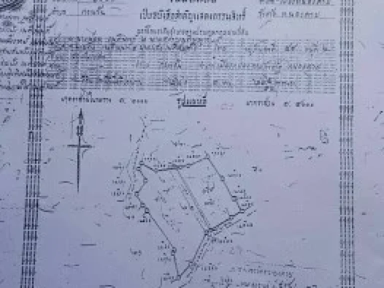 ขายที่ดินใกล้สะพานไทย - ลาว เพียง 2 กิโลเมตร เนื้อที่ 14 ไร่ 1 งาน 565 ตรว