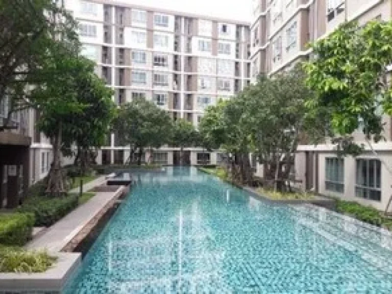 ให้เช่า D condo campus ธรรมศาสตร์ รังสิต พื้นที่ขนาด 30 ตรม ชั้น 4 ขนาด 1 ห้องนอน 1 ห้องน้ำ