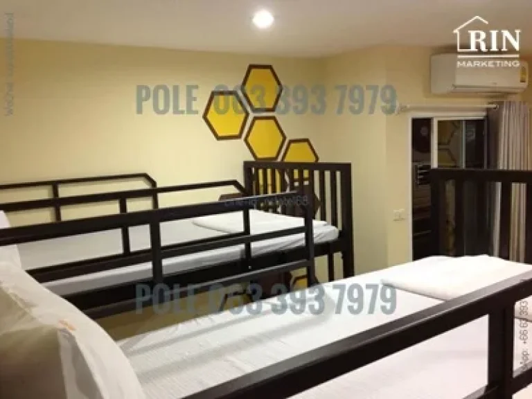 ขายด่วน โฮสเทล ป่าตอง ภูเก็ตBeehive Patong Hostel