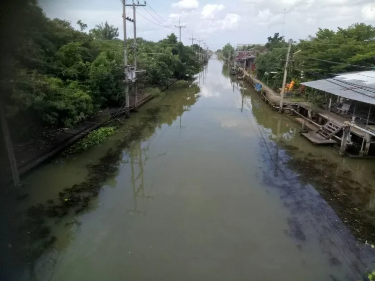 ขายที่ดินติดคลองดำเนินสะดวก ใกล้ตลาดดำเนินสะดวก 7 ไร่