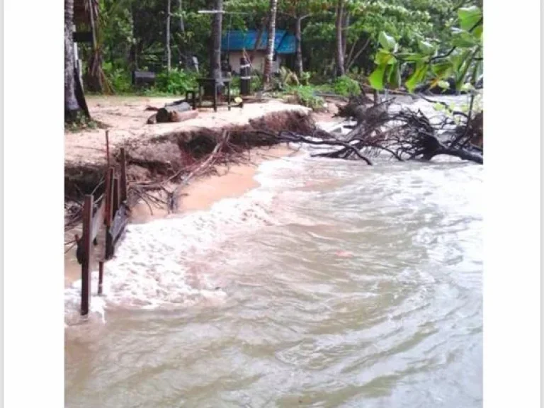 ขายที่ดินสวยติดทะเล เกาะไหง อำเภอเกาะลันตา จังหวัดกระบี่ เนื้อที่ 20 ไร่ 20 ตรว