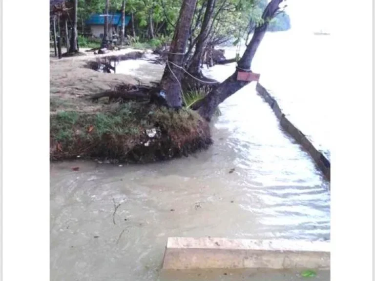 ขายที่ดินสวยติดทะเล เกาะไหง อำเภอเกาะลันตา จังหวัดกระบี่ เนื้อที่ 20 ไร่ 20 ตรว