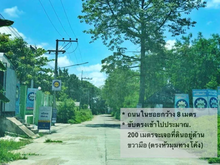 ขายที่ดินหนองจ๊อม สันทราย ไกล้ถนน