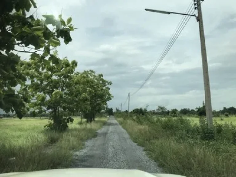 ขายที่ดิน คลอง10 หนองเสือ 2ไร่ เข้าออกได้สองทาง ใกล้ถนนลาดยางเรียบคลอง10