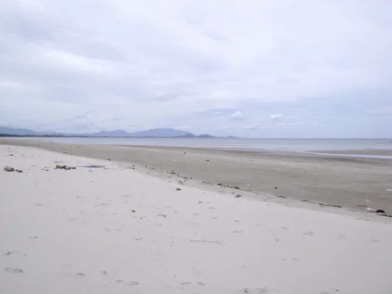 ที่ดินติดทะเลสวย หาดทรายละเอียด