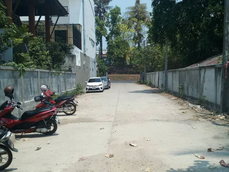 Land for sale in si Phunsa Chiang Mai ขายที่ดิน ราคา 80 ล้านบาท