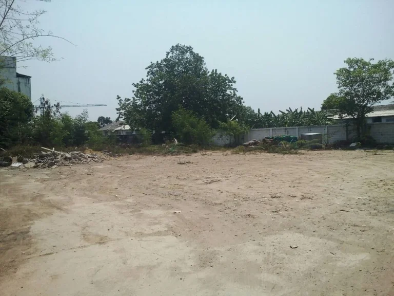 Land for sale in si Phunsa Chiang Mai ขายที่ดิน ราคา 80 ล้านบาท