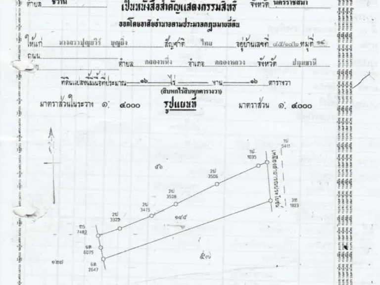 ขายที่ดิน 16 ไร่ ตชีวาน อพิมาย จนครราชสีมา