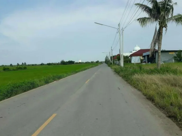 ขายที่ดิน 17 ไร่ เข้าทางตลาดปองพล อำเภอเมือง จังหวัดฉะเชิงเทรา