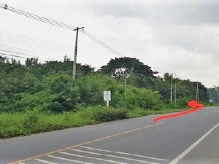 ขายที่ดินแปลงสวย คลองสาม ปทุมธานี 45 ไร่ ติด ถใหญ่ ติดยุวพุทธ มีโฉนด สนใจติดต่อด่วน