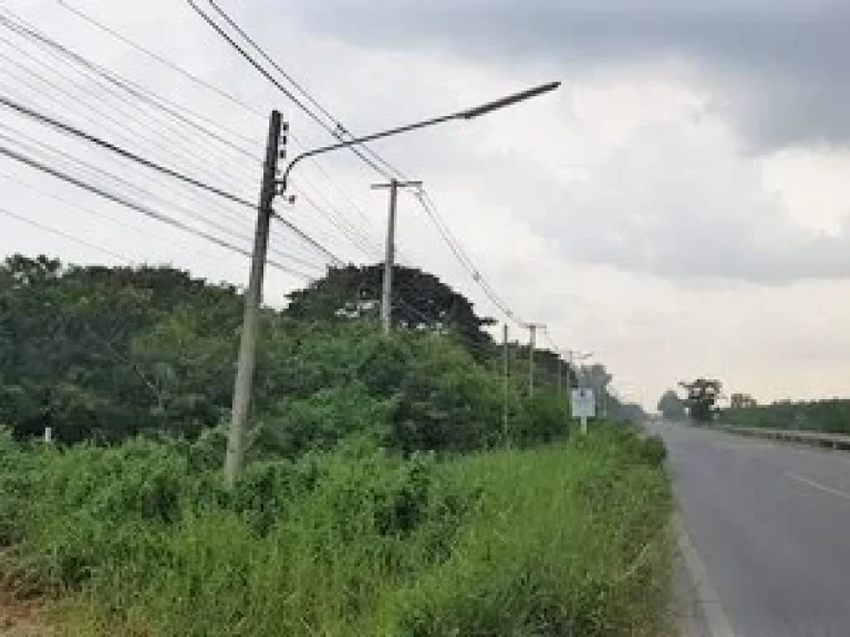 ขายที่ดินแปลงสวย คลองสาม ปทุมธานี 45 ไร่ ติด ถใหญ่ ติดยุวพุทธ มีโฉนด สนใจติดต่อด่วน