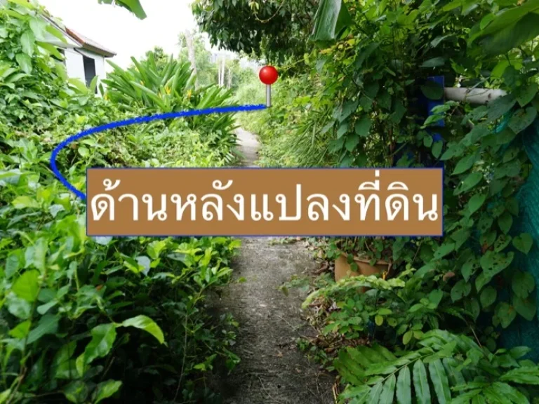 ขาย ที่ดิน ซอยกรุงเทพ  นนทบุรี 12 ซอยศิริชัย 138 เนื้อที่ 193 ตรว