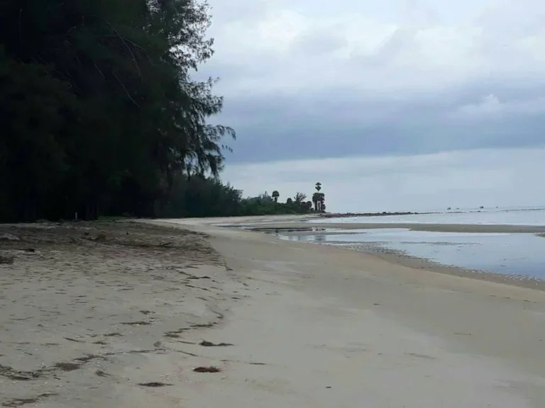 ที่ดินเเบ่งขาย ชายหาดบ้านกรูด อบางสะพาน