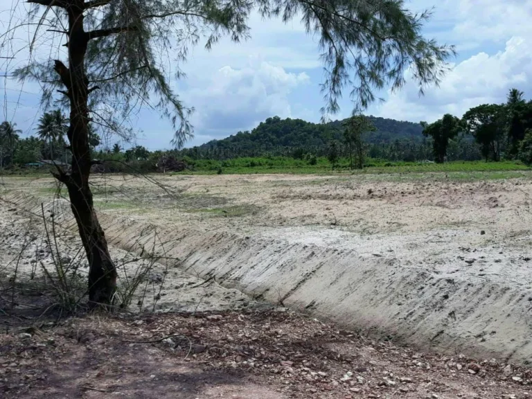 ที่ดินเเบ่งขาย ชายหาดบ้านกรูด อบางสะพาน