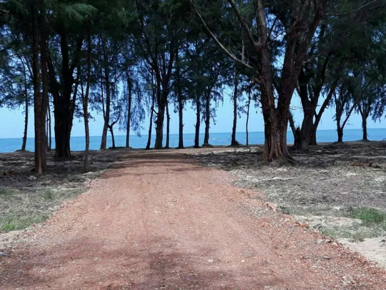 ที่ดินเเบ่งขาย ชายหาดบ้านกรูด อบางสะพาน