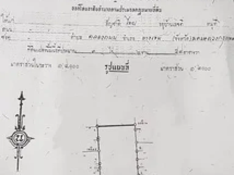 ที่ดินพหลโยธิน48 ซอย สายหยุด 3 ไร่ 2 งาน ทำเลทอง ที่ดินต่ำกว่าประเมิน