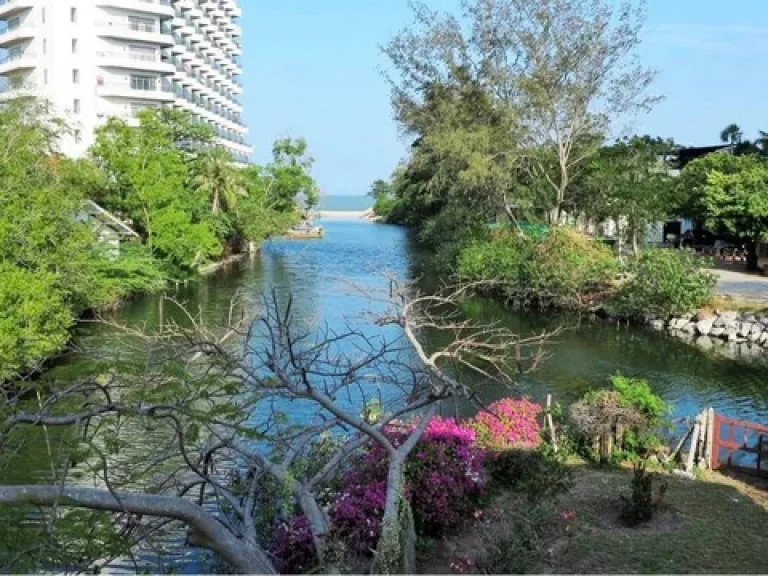 ขาย ถูก ที่ดิน 341 ตรวา ทำเลดีมาก ใกล้หาดชะอำ วิวสวย มองเห็นทะเล