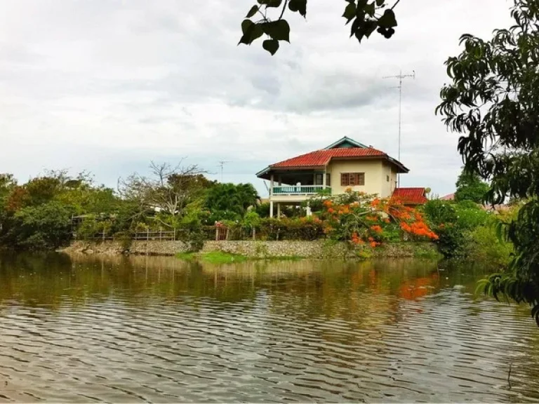 ขาย ถูก ที่ดิน 341 ตรวา ทำเลดีมาก ใกล้หาดชะอำ วิวสวย มองเห็นทะเล