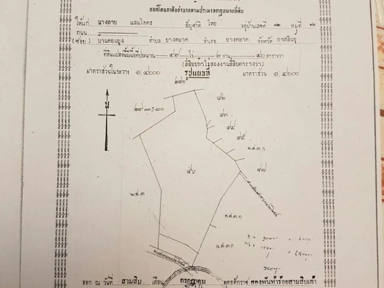 ขายที่ดิน ที่ดินยางตลาด