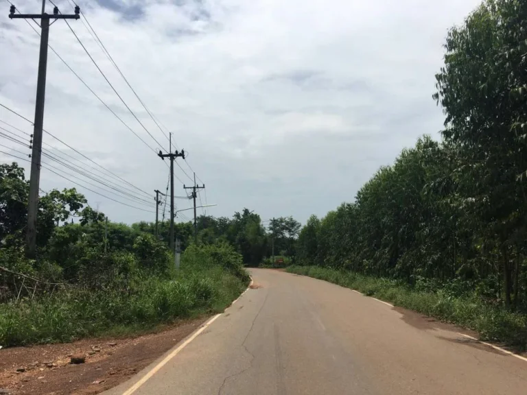 ขายที่ดิน 3ไร่ อำเภอศรีมหาโพธิ จังหวัดปราจีนบุรี