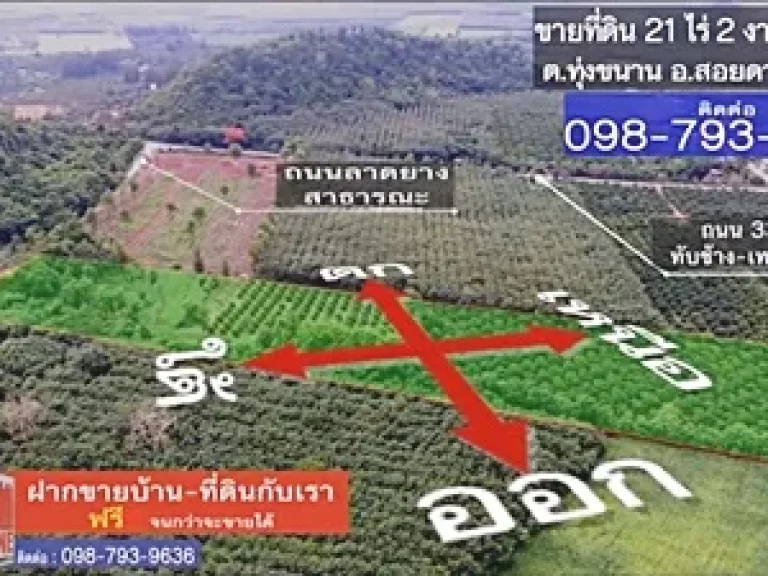 ที่ดินสวนลำใย บนเนินเขาสอยดาว ทุ่งขนาน สอยดาว จันบุรี 21 ไร่ 2 งาน 10 ตรว