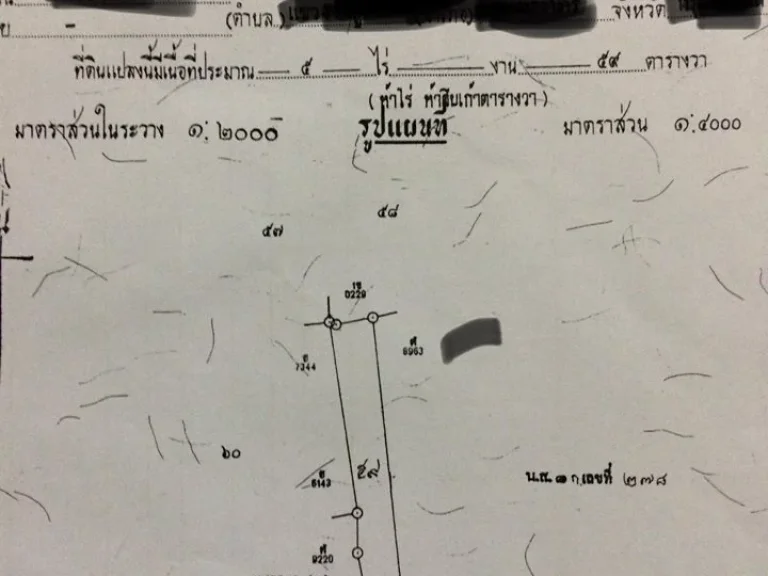 แปลงที่11 ขายที่ดิน2แปลง แถวหมู่บ้านพอแดง ท้ายเหมืองพังงา