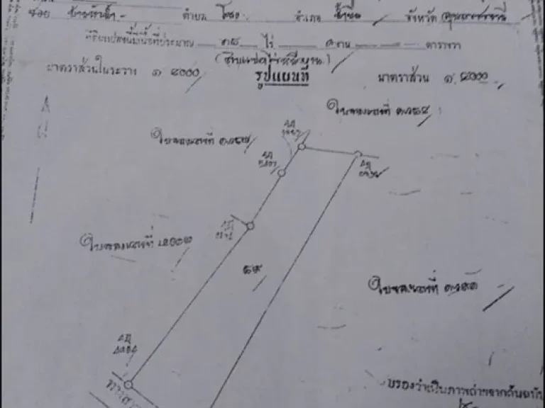 ขายที่ดิน ไร่ยางพาลา โฉนด 18 ไร่ 1งาน ราคาไร่ละ 200000 บาท อน้ำขุ่น จอุบล มีโฉนดและติดถนนลาดยาง