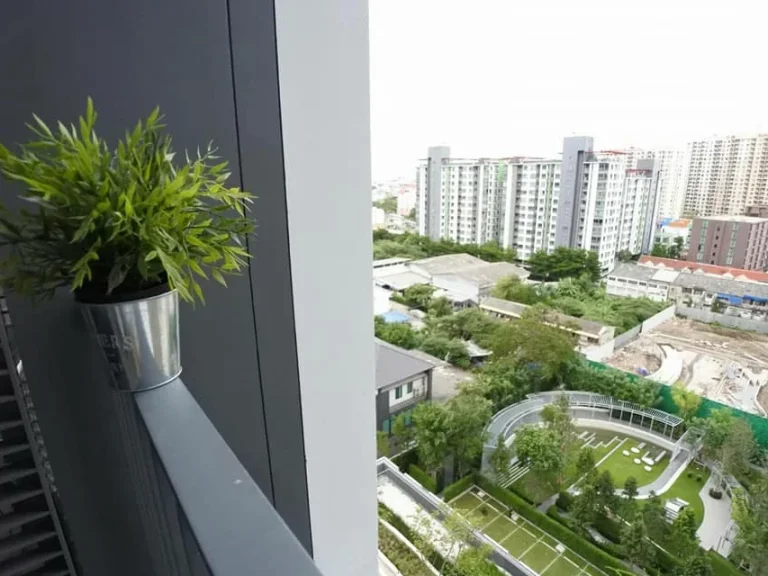 Whizdom connect Sukhumvit101 for rent 1 bed