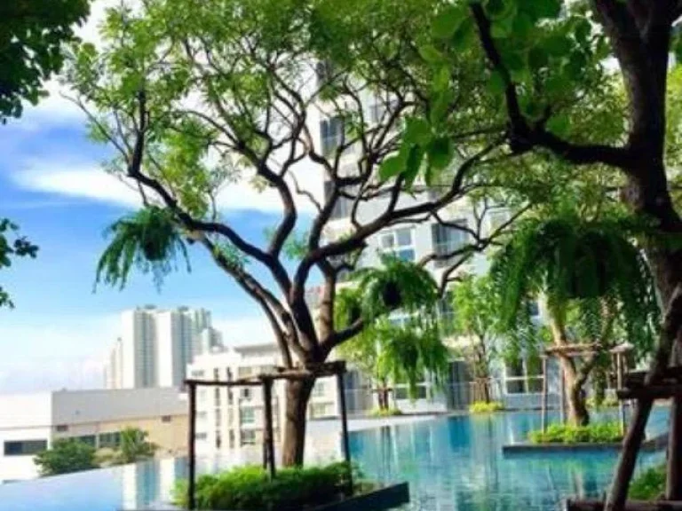 ให้เช่า ISSI Condo Suksawat ติดถนน สุขสวัสดิ์ รพ บางปะกอก 1 750 เมตร