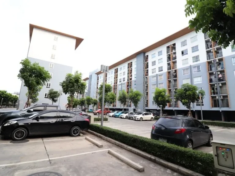 ให้เช่า Plum Condo Bangyai Station พลัม คอนโด บางใหญ่ สเตชั่น ใกล้ ตลาดบางใหญ่