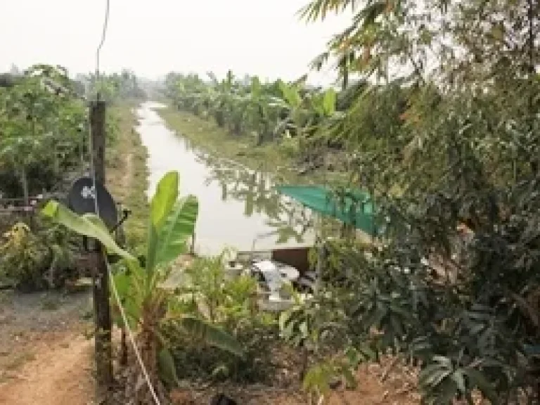 ที่ดินบ้านสวนลำพูน บรรยากาศดี น้ำตลอดปี ไฟฟ้าพร้อม