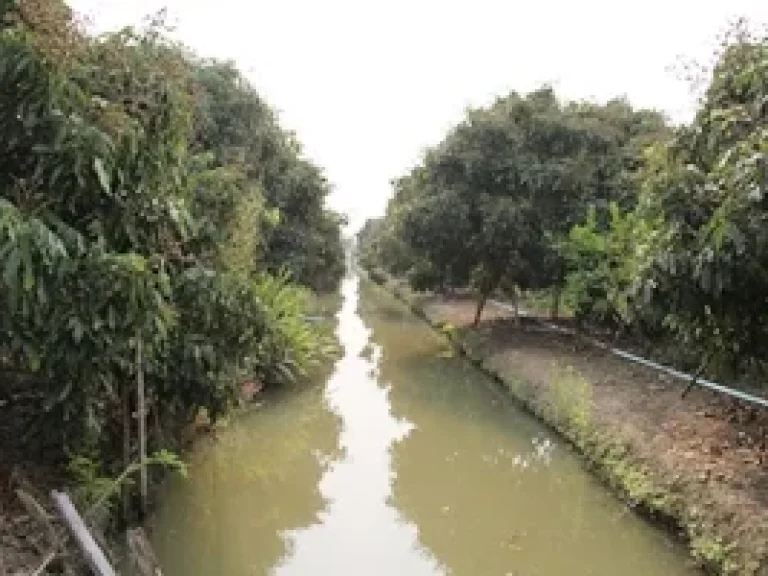 ที่ดินบ้านสวนลำพูน บรรยากาศดี น้ำตลอดปี ไฟฟ้าพร้อม