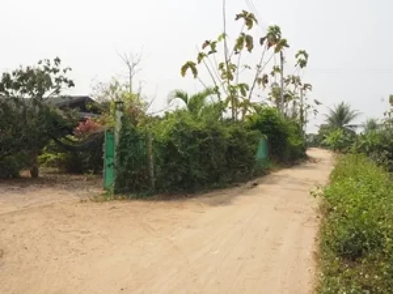 ที่ดินบ้านสวนลำพูน บรรยากาศดี น้ำตลอดปี ไฟฟ้าพร้อม