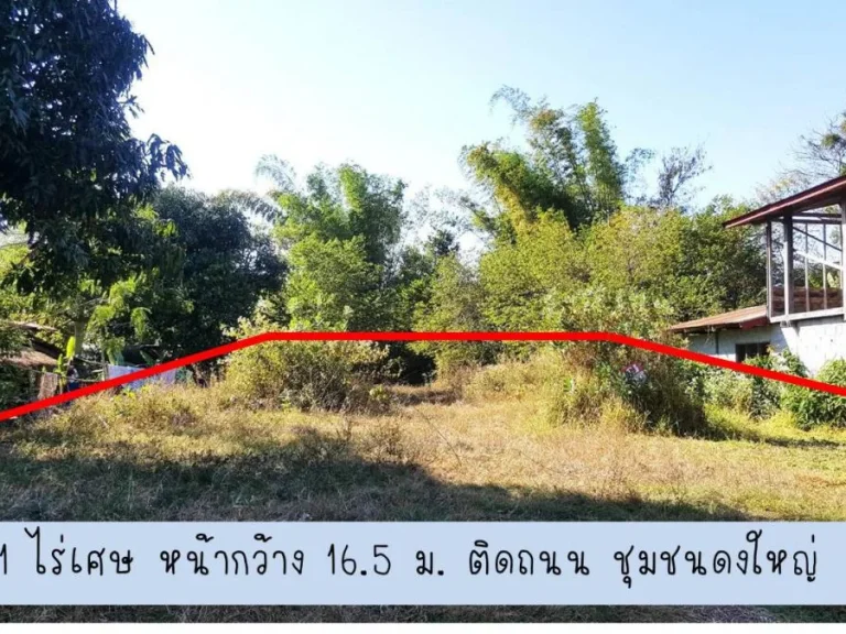 ขาย ที่ดิน C38 408 ตรวา ดงใหญ่ บ้านโพนเลาโพนทอง ตเชียงหวาง อเพ็ญ อุดรธานี 408 sqwa land at Dong Yai Chiang Wang Phen Udon Thani