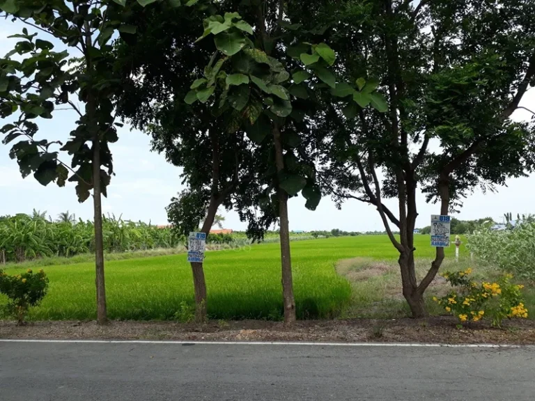 ที่ดิน 35-2-0ไร่ ไทรน้อย นนทบุรี