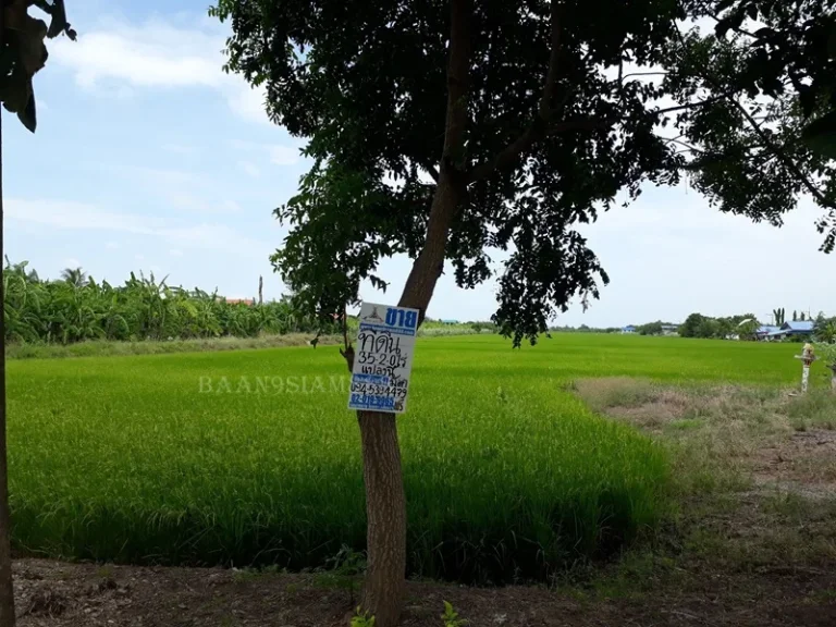 ที่ดิน 35-2-0ไร่ ไทรน้อย นนทบุรี