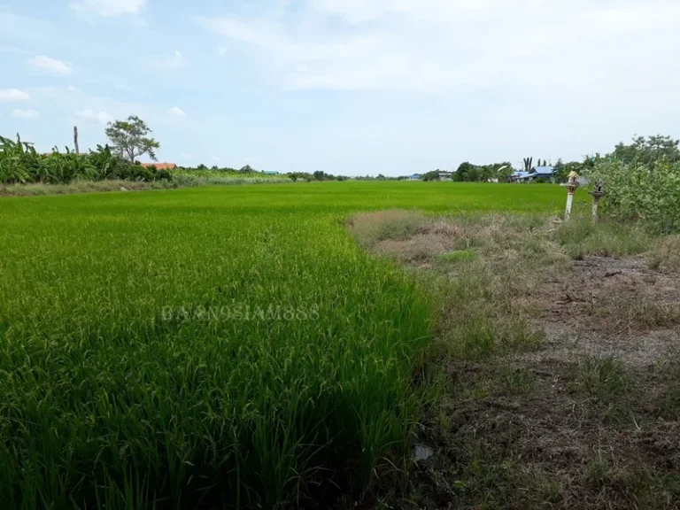 ที่ดิน 35-2-0ไร่ ไทรน้อย นนทบุรี