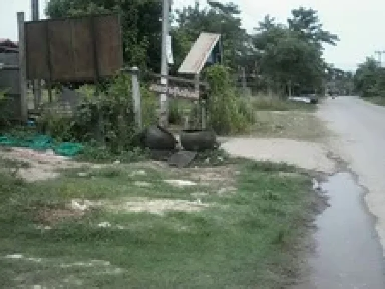 ขายที่ดิน 5ไร่ บ้านเต็งหนาม ถนนประสานมิตร ตหัวรอ อ เมือง จพิษณุโลก